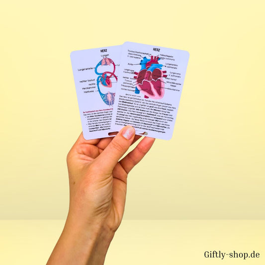 Anatomie Set Referenzkarten