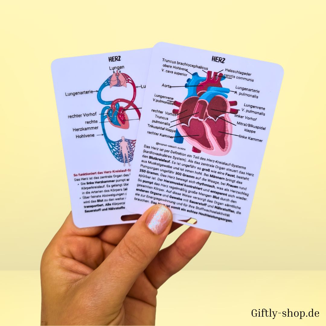 Anatomie Set Referenzkarten