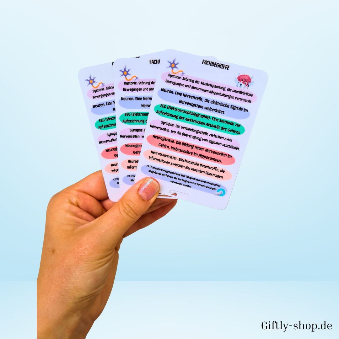Fachbegriffe Set